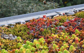 the cost of Ty Croes green roof installation