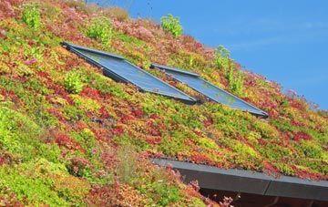 Ty Croes living roof systems